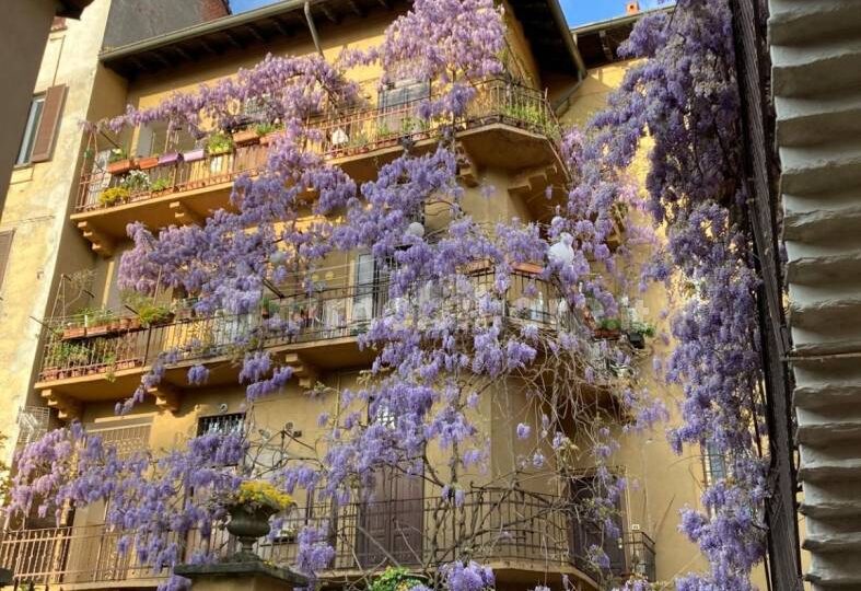 Bilocale in affitto libero da subito a milano vicinanze passante Ferroviario Villapizzone e dall’università Bovisa Politecnico